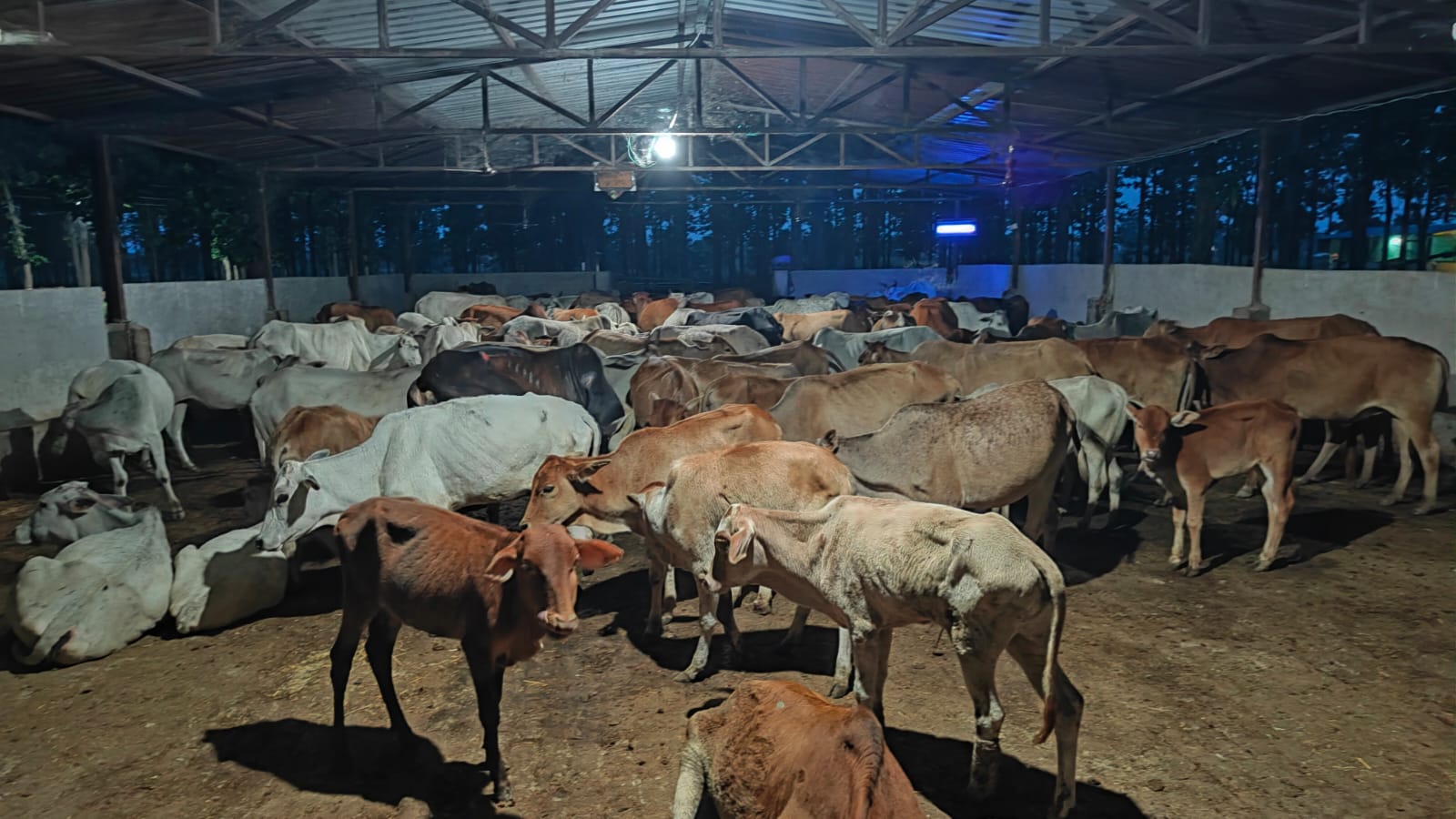 Our Shelter Facilities